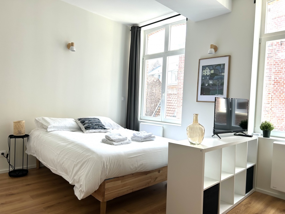 Appart Hôtel Lille Alice - Lille
