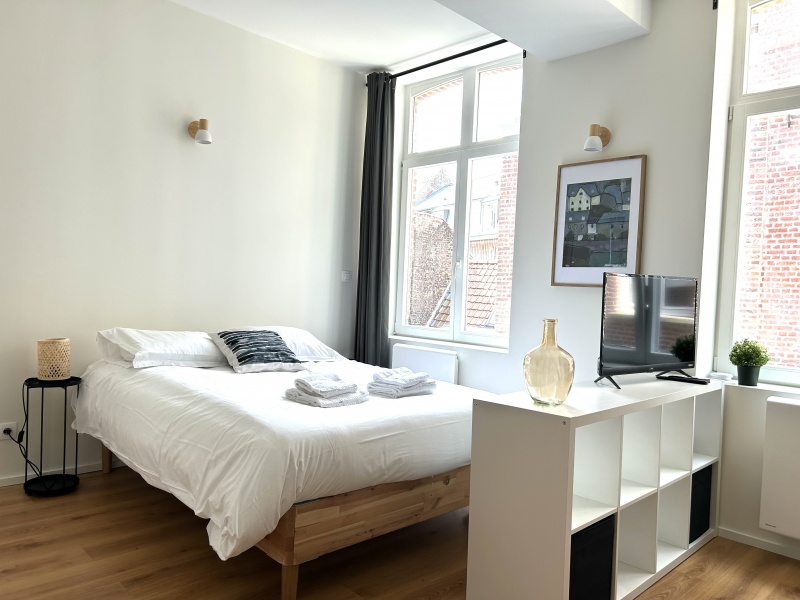Appart Hôtel Lille Alice - Lille
